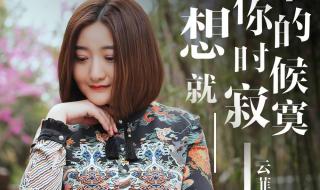 云菲菲歌曲 云菲菲歌曲
